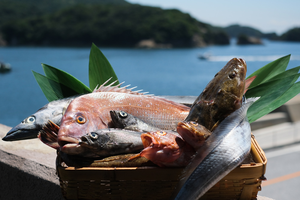 Fish from the Seto Inland Sea